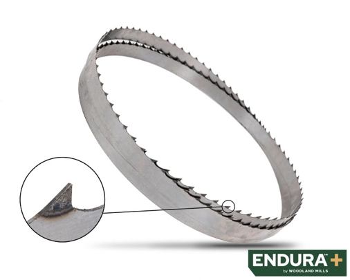 Endura 톱날